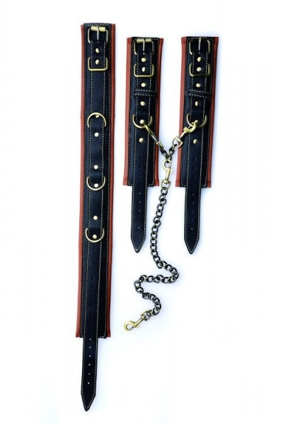Master Series Collar with Wrist Restraints