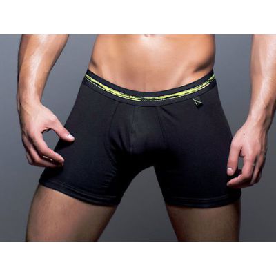 Basix Boxers L