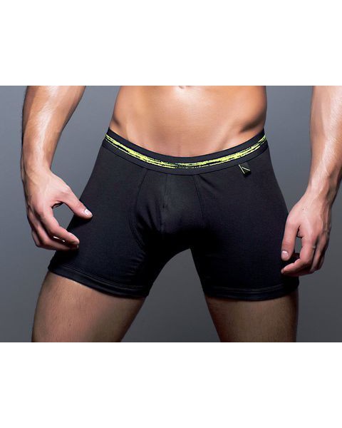Basix Boxers L