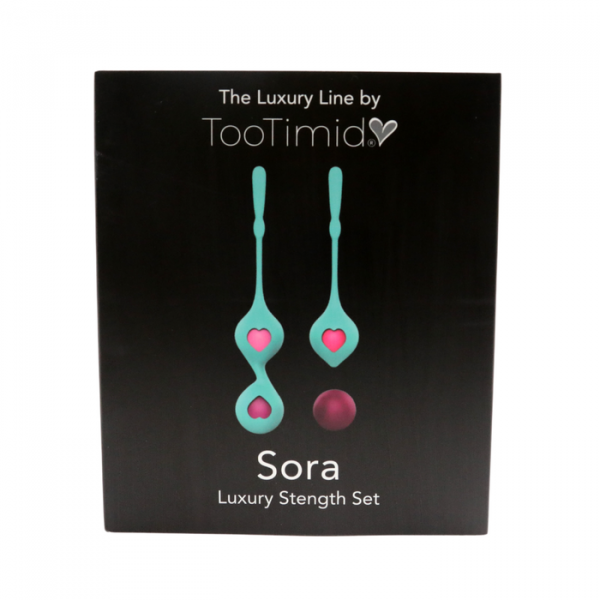 Combination Duo Tone Kegel Ball and Pleasure Ball Exerciser Set