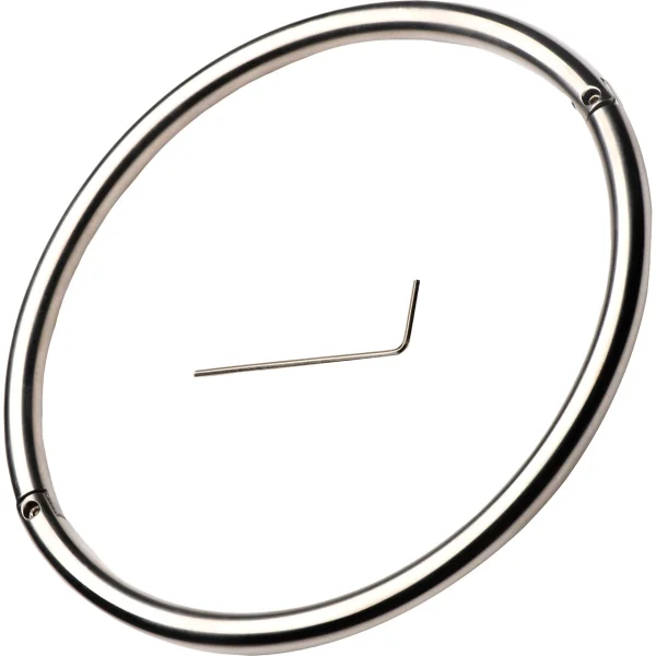 Master Series Possession Steel Lock Collar