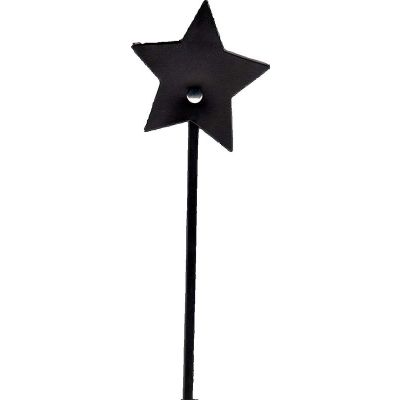 Starry Eyed Star Tipped Leather Crop