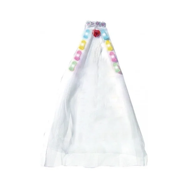 Bachelorette party veil