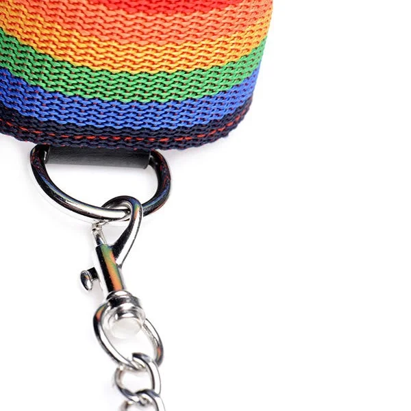 Master Series Kinky Pride Rainbow Bondage 3-Piece Set