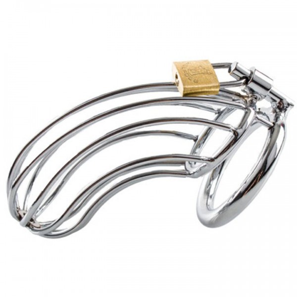 Torment Stainless Steel Birdcage Chastity Cage — image 4 of 5