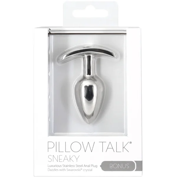 Pillow Talk Luxurious Stainless Steel Anal Plug With Power Bullet Vibrator