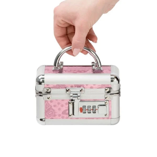 Lockable Mini Vibrator Case