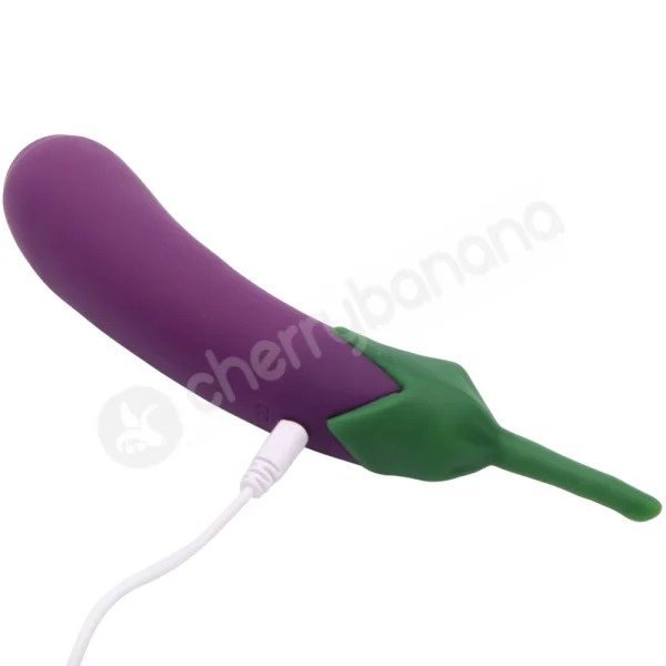 Healthy Habits 10 Speed Eggplant Vibrator