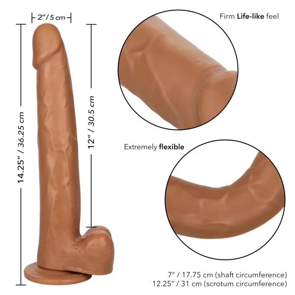Size Queen 12 inch-30.5 Cm - Brown