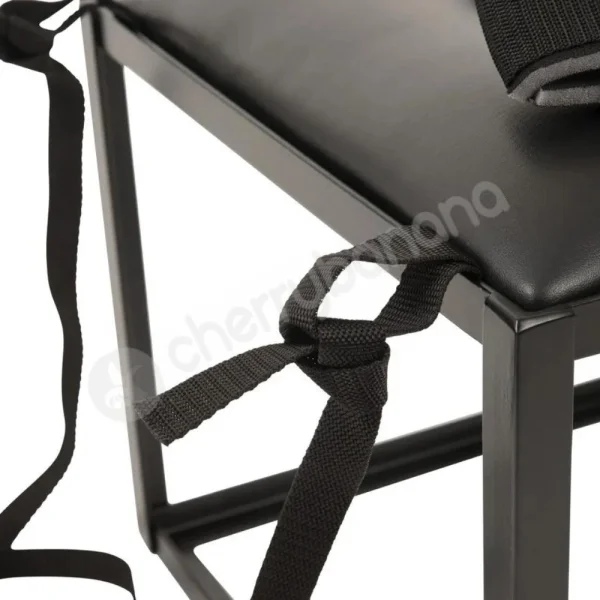 You2Toys The Throne Kings & Queens Multifunctional Sex Chair & Bondage Set