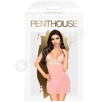 Penthouse Lingerie Pink Bedtime Story Mini Dress With Thong