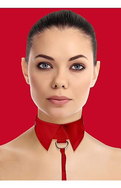 Classic Collar With Leash
