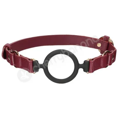 Ouch Halo Silicone Ring Gag With Red Adjustable Strap
