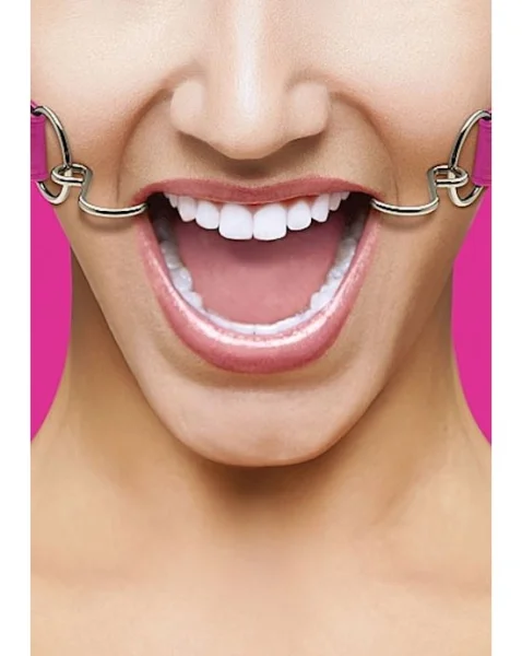 Hook Gag - Pink