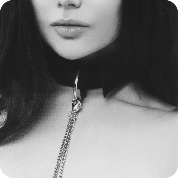 Lux Fetish Collar And Nipple Clips