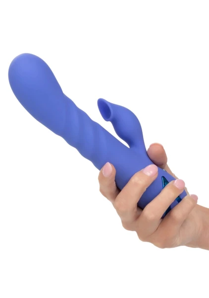 California Dreaming L.a. Love