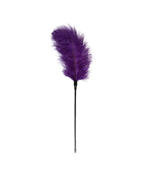 Purple Feather Tickler