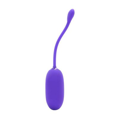 Rechargeable Kegel Ball Purple