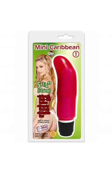 Mini Caribbean #1 Waterproof Vibe