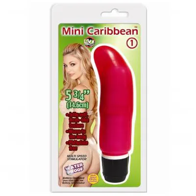 Mini Caribbean 1 Waterproof Vibe