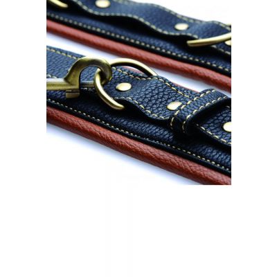 Master Series Collar with Wrist Restraints