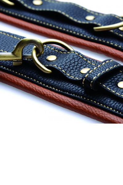 Master Series Collar with Wrist Restraints
