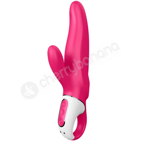 Satisfyer Mr. Rabbit Vibrator