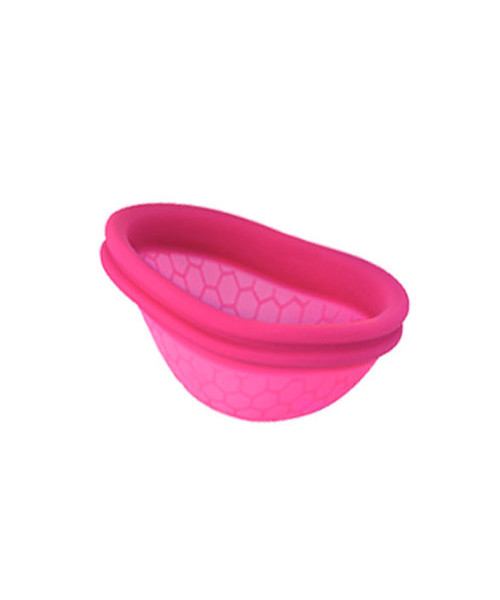 Ziggy Cup
