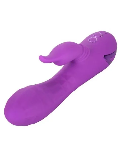 California Dreaming Valley Vampire