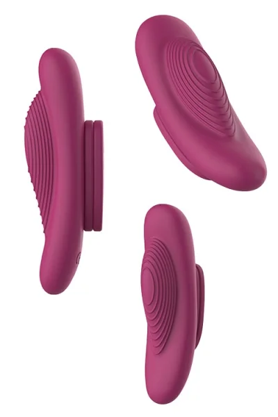 Wild Secrets Adore Panty Vibrator with Remote