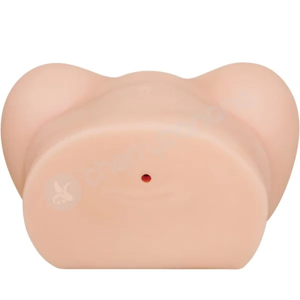 Zero Tolerance Dani Daniels Realistic Ass & Vagina Flesh Stroker