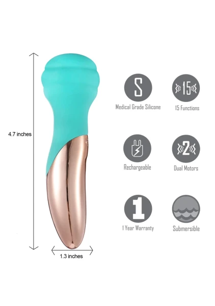 Kiwi Rechargeable Instertable Bullet