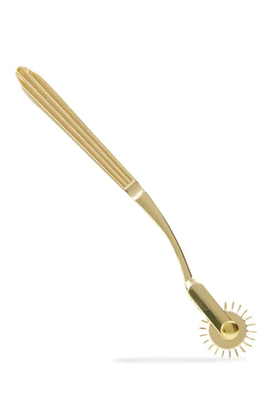 Wild Secrets Orchestra - 6 Piece Pleasure Collection