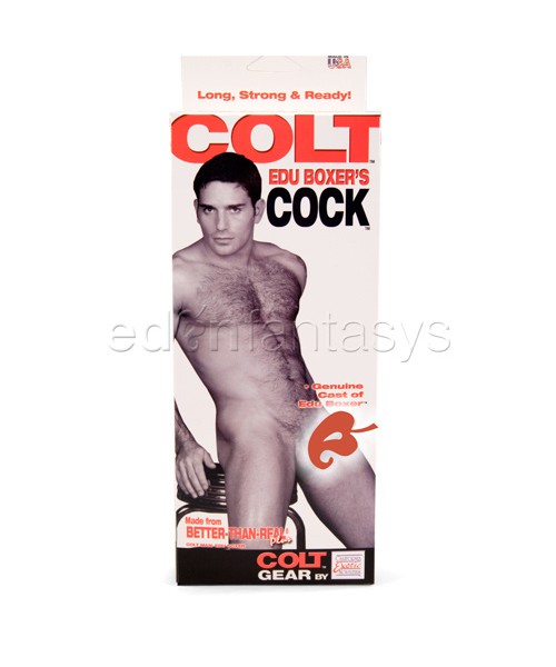 Colt Edu Boxer's cock