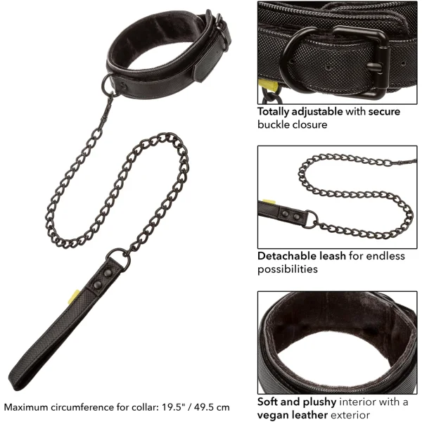 Boundless Collar and Leash