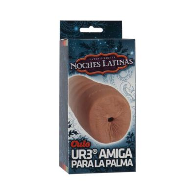 Noches Latinas Ur3 Palm Pal Ass