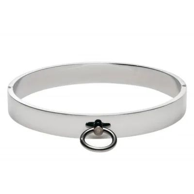 Chrome Slave Collar Small Medium