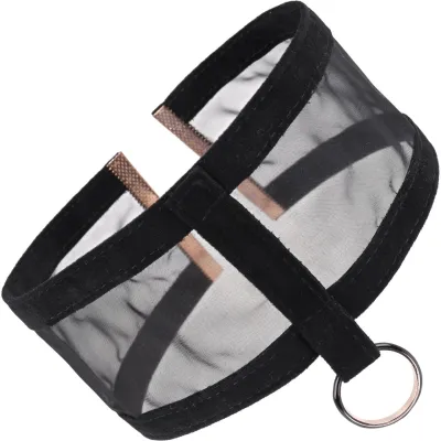 Sex Mischief Sheer Day Collar By Sportsheets