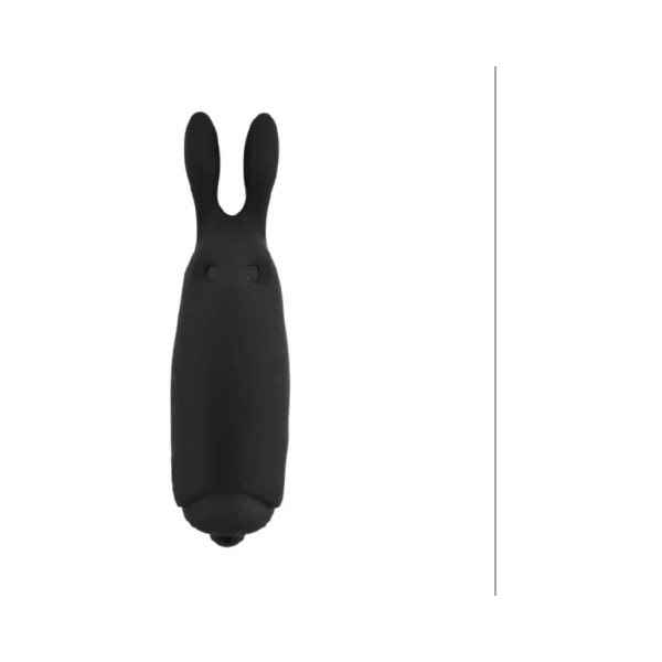 Lastic Pocket