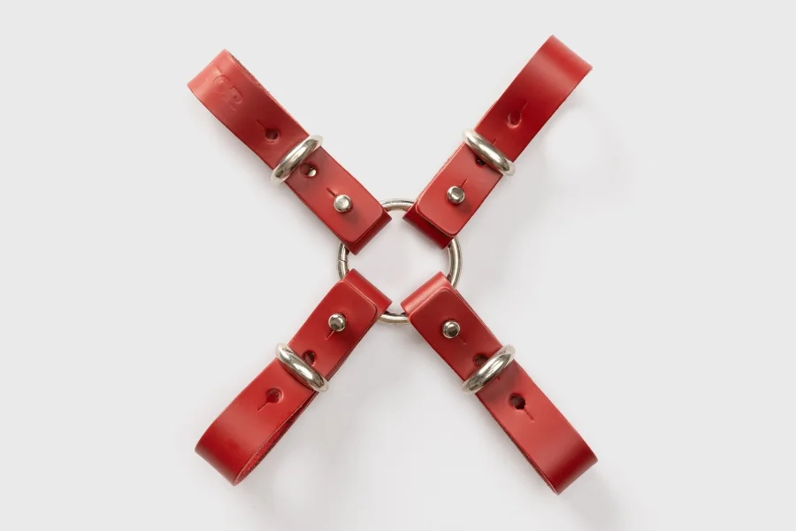 Liberator Leatherworks Elocia Hogtie
