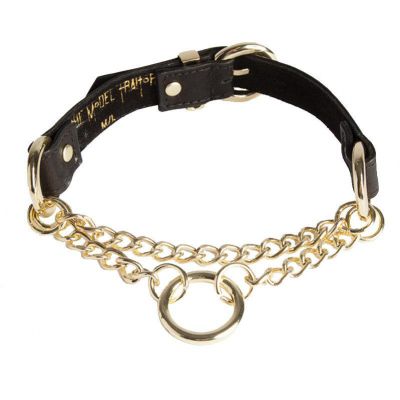 Chain O Choker The Model Traitor