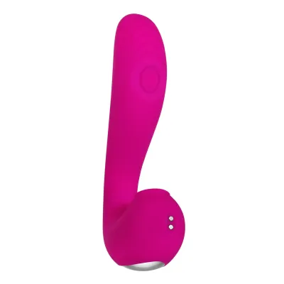 Evolved Novelties The Note