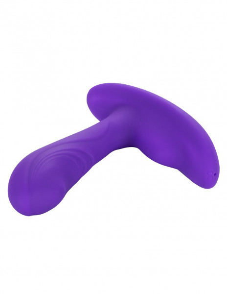 CalEx Remote Pinpoint Pleaser