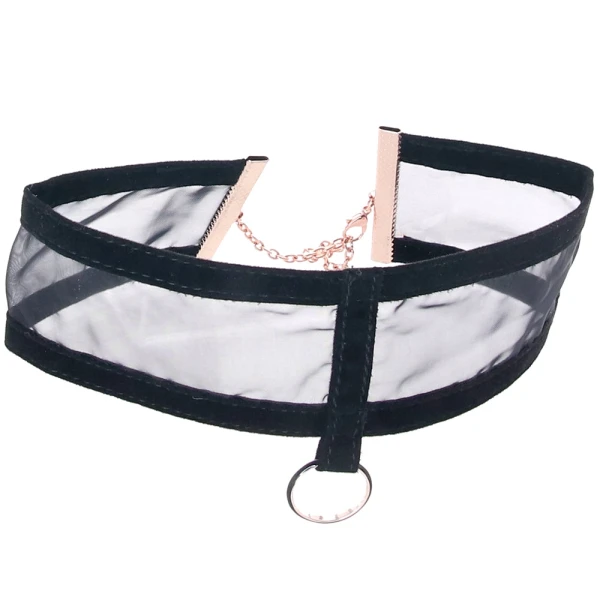 Sex & Mischief Sheer Day Collar By Sportsheets