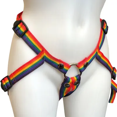 Inclusion Rainbow Strap On Harness Size A Fits Hips Up To 54