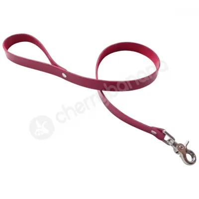 Kinklab Bondage Basics Red Leather Leash