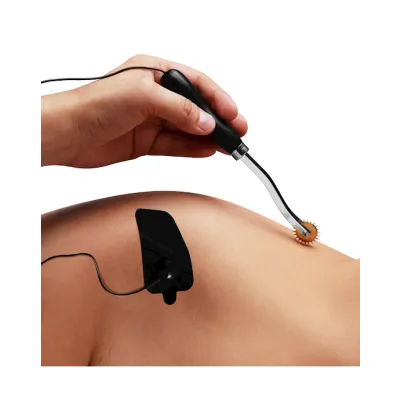 Electric Wartenberg Wheel Estim Kit Grey