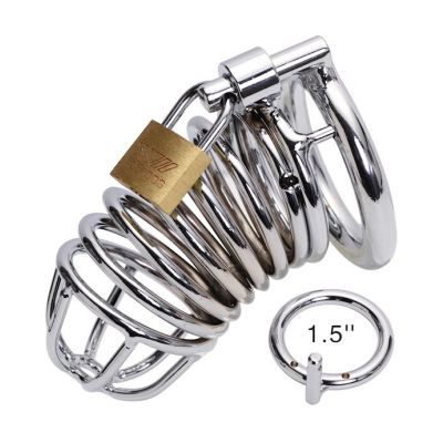 Locking Metal Cock Cage Silver 1 5 Inch