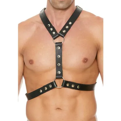 Leather Harness With Metal Snaps