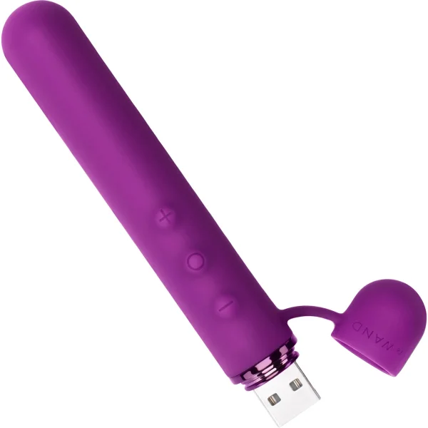 Le Wand Chrome Baton Bullet Vibrator - Dark Cherry